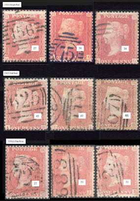 Transitional Shades Sample